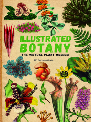 cover image of Illustrated Botany